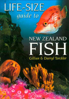 life size guide to New Zealand fish, a photographic guide book for children